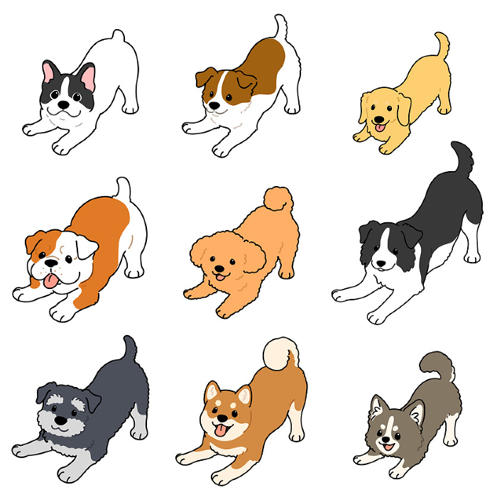 Illustration set of simple and cute dog inviting you to play, main line available