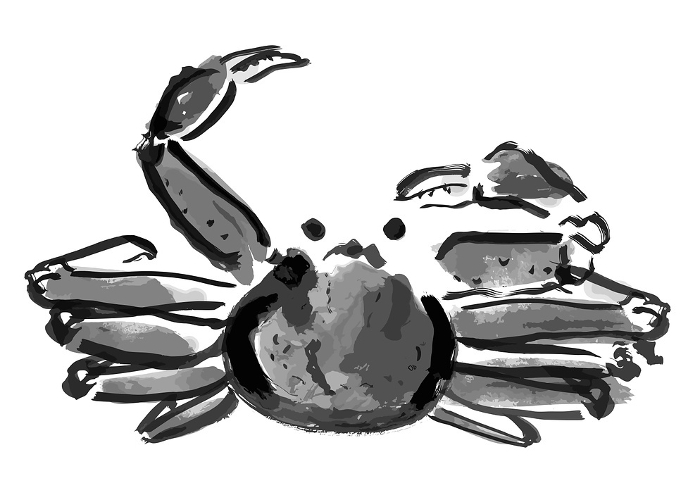 Japanese-style hand-drawn illustration of snow crab (monochrome ink painting)