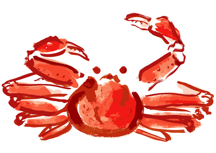 Japanese-style hand-drawn illustration of snow crab