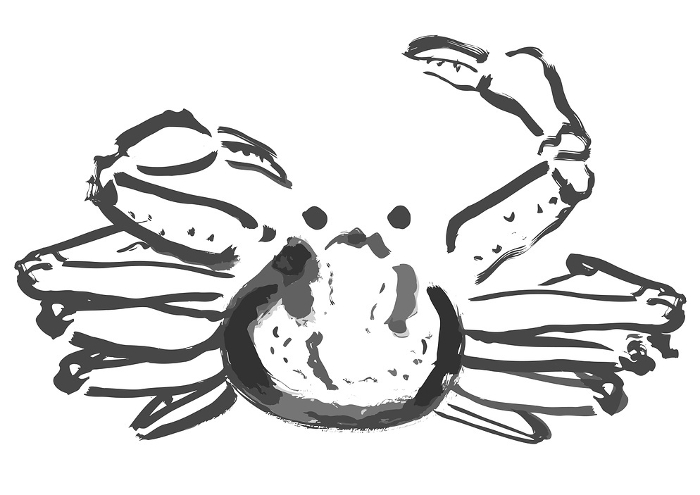 Japanese-style hand-drawn illustration of snow crab (monochrome ink painting)