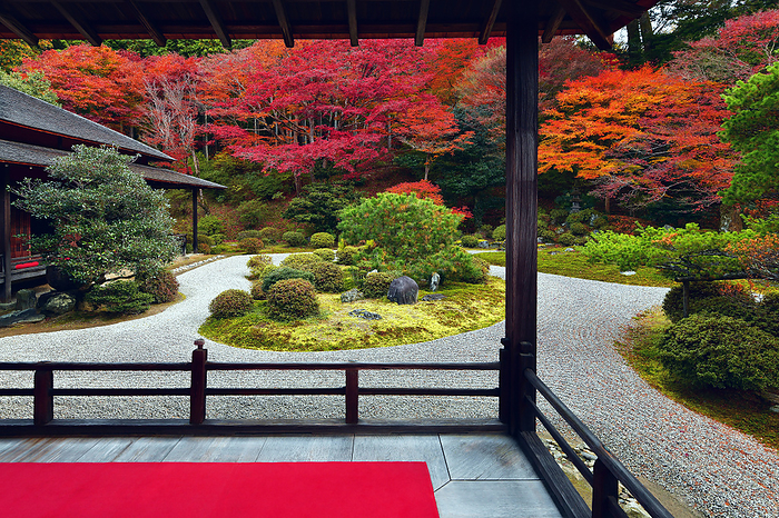Manjuin Garden in Autumn Kyoto shi, Kyoto Karesansui  dry landscape  garden at Manjyuin, a superb view in autumn