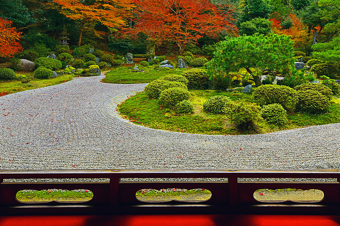 Manjuin Garden in Autumn Kyoto shi, Kyoto Karesansui  dry landscape  garden at Manjyuin, a superb view in autumn