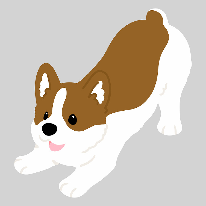 Clip art of simple and cute corgi inviting to play No main line