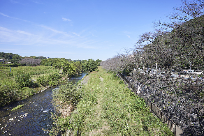 Fixed point photography in 2023 Kiyose City Seasons and landscape changes    Total 10 times  Mid October 2023 Kiyose Kanayama Ryokuchi Park, Kiyose City, Tokyo