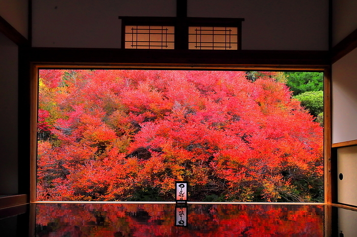 Tajima Angokuji Temple in the autumn color of azalea leaves Toyooka City, Hyogo Pref.