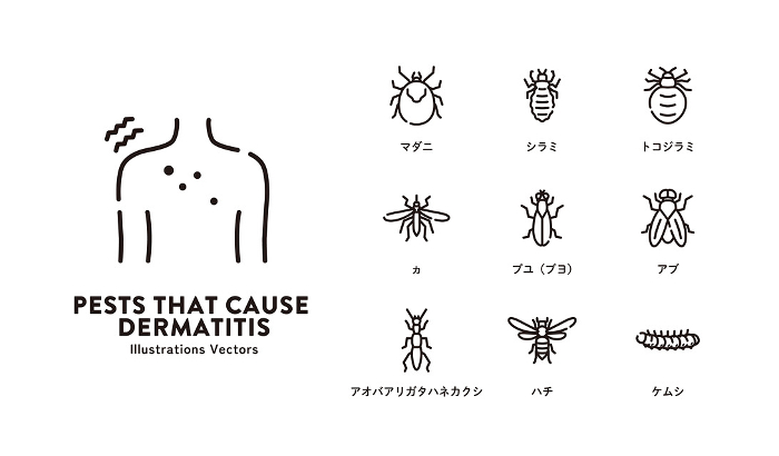 Dermatitis Pests Icon Set