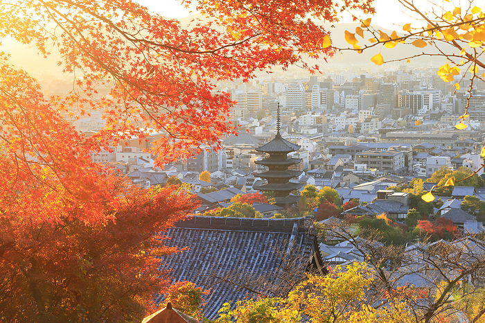 Yasaka-no-to (Pagoda of Yasaka) and Kyoto City seen through autumn leaves Kyoto Pref.