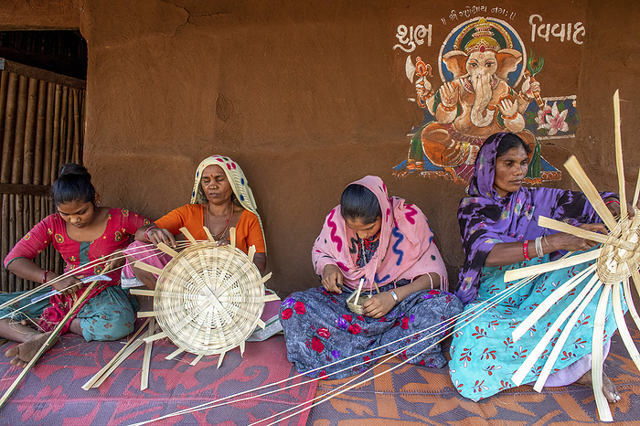 Adivasi women making baskets in a village in Narmada district, Gujarat, India, Asia Adivasi women making baskets in a village in Narmada district, Gujarat, India, Asia, by Godong