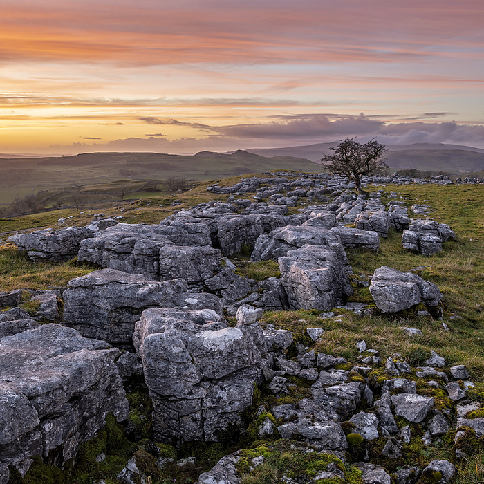 Winskill Stones Nature Reserve and hawthorn at sunset, Yorkshire Dales, Yorkshire, England, United Kingdom, Europe Winskill Stones Nature Reserve and hawthorn at sunset, Yorkshire Dales, Yorkshire, England, United Kingdom, Europe, by Robert Canis