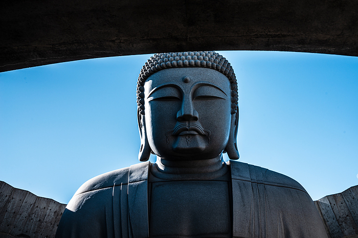 Close up of the upper body and head of a giant Buddha statue agains a blue sky, Hill of the Buddha, Sapporo, Hokkaido, Japan, Asia Close up of the upper body and head of a giant Buddha statue agains a blue sky, Hill of the Buddha, Sapporo, Hokkaido, Japan, Asia, by Caspar Schlageter