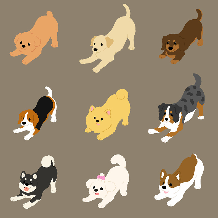 Hand-drawn illustration set B of a simple and cute dog inviting you to play, no main line.