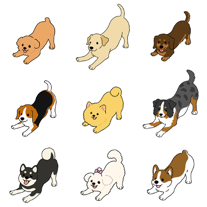 Hand-drawn illustration set B of a simple and cute dog inviting you to play, with main lines.