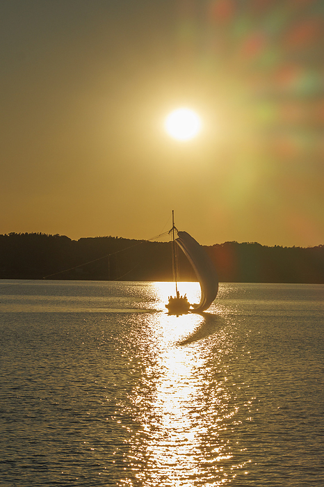 Sailboats in the setting sun