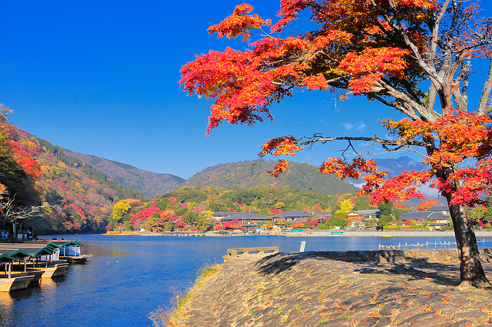 Arashiyama Park Nakanoshima area and Katsura River in autumn leaves Kyoto City, Kyoto Prefecture