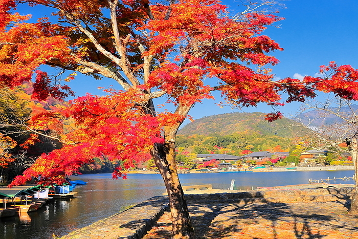 Arashiyama Park Nakanoshima area and Katsura River in autumn leaves Kyoto City, Kyoto Prefecture