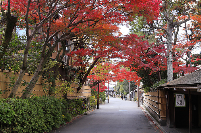 Autumn Foliage in Nanzenji Monzenmachi, Kyoto Pref.