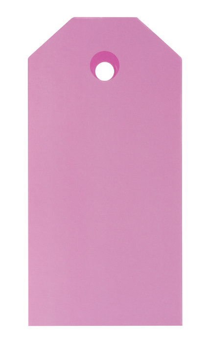 Blank pink rectangular paper tag on a white background, template for price, discount Blank pink rectangular paper tag on a white background, template for price, discount