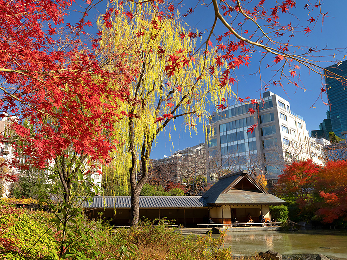 Hinokicho Park in Autumn, Tokyo