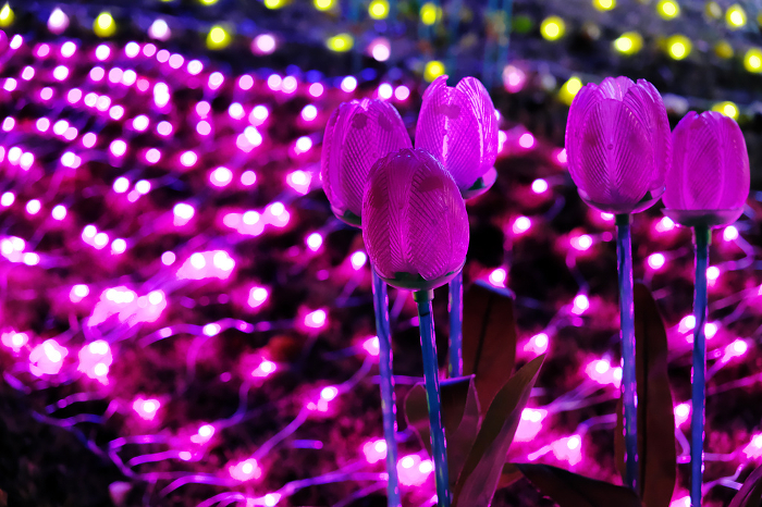 Illumination of flowers