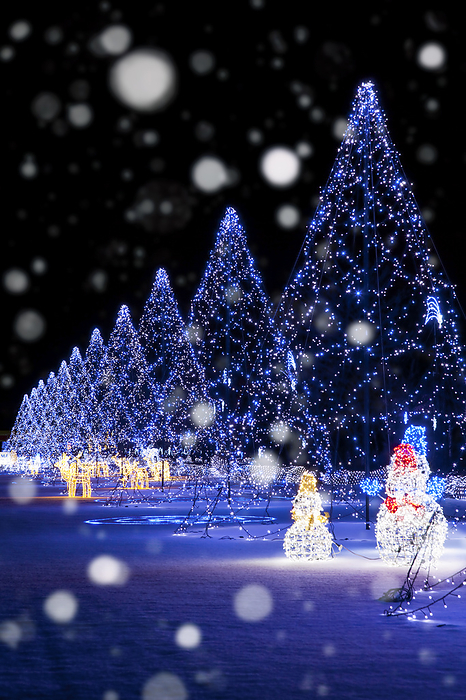 Christmas illumination Nagano Pref.
