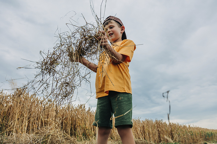 Smiling boy playing with hay in wheat field