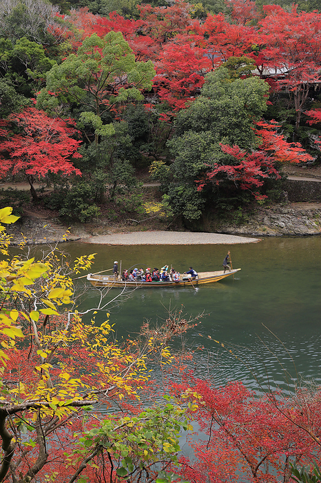 Arashiyama  Arashikyo  and Hozugawa River Rafting in Autumn Leaves, Kyoto 100 Best Places to View Autumn Foliage in Japan