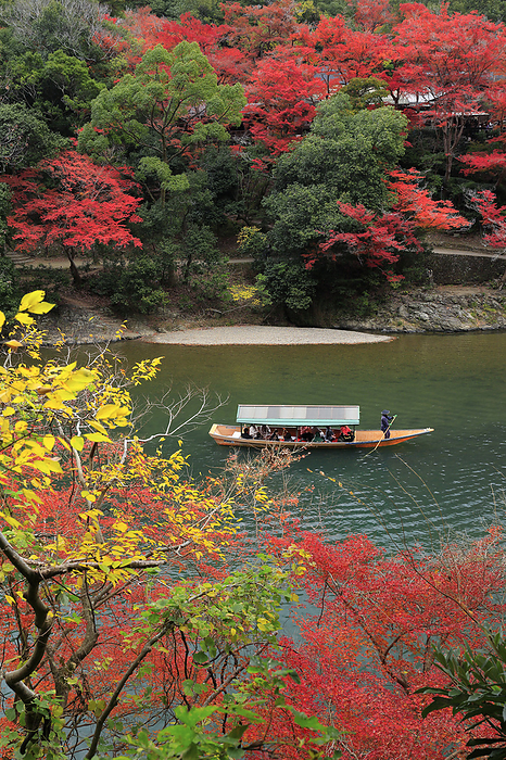 Arashiyama  Arashikyo  and Yakatabune  houseboat  in autumn leaves, Kyoto 100 Best Places to View Autumn Foliage in Japan