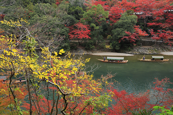 Arashiyama  Arashikyo  and Yakatabune  houseboat  in autumn leaves, Kyoto 100 Best Places to View Autumn Foliage in Japan