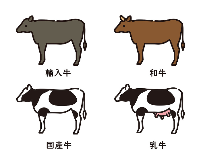 Beef Beef Meat Ingredients Barbecue Meat