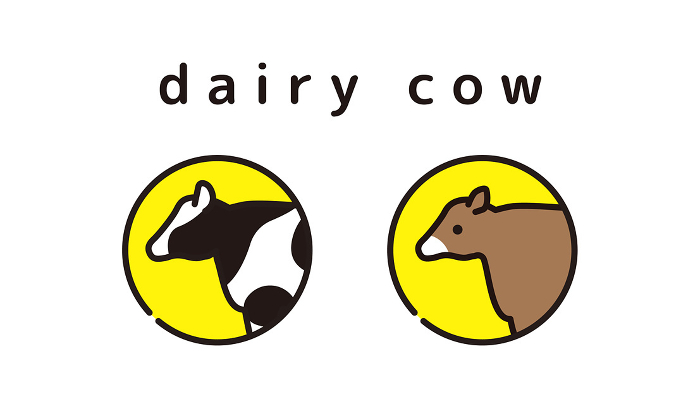 Dairy cattle Dairy cows