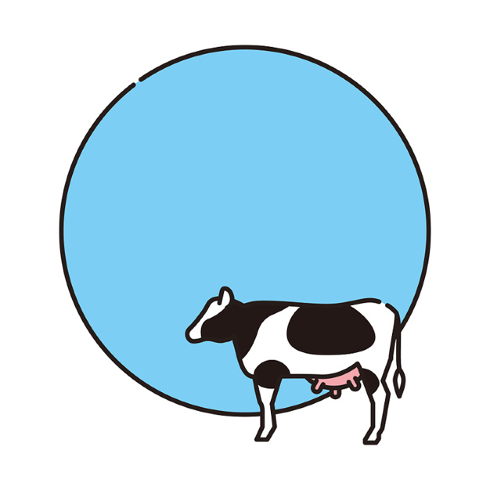 Holstein Cattle Holstein Dairy Cattle