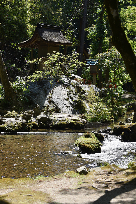 Kamigamo Shrine Narano creek and Iwamoto Shrine Kita-ku, Kyoto
