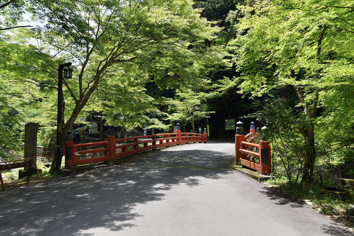 Jingo-ji Temple in fresh green, Takao Bridge on Kiyotaki River, Takao, Ukyo-ku, Kyoto