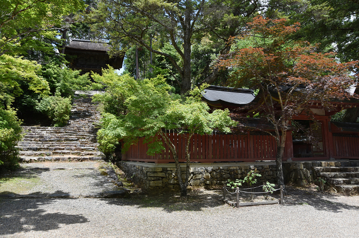 Jingo-ji Temple, Jingo-ji Bell Tower and Wakeki Kiyomaro Mausoleum in fresh green Takao, Ukyo-ku, Kyoto City