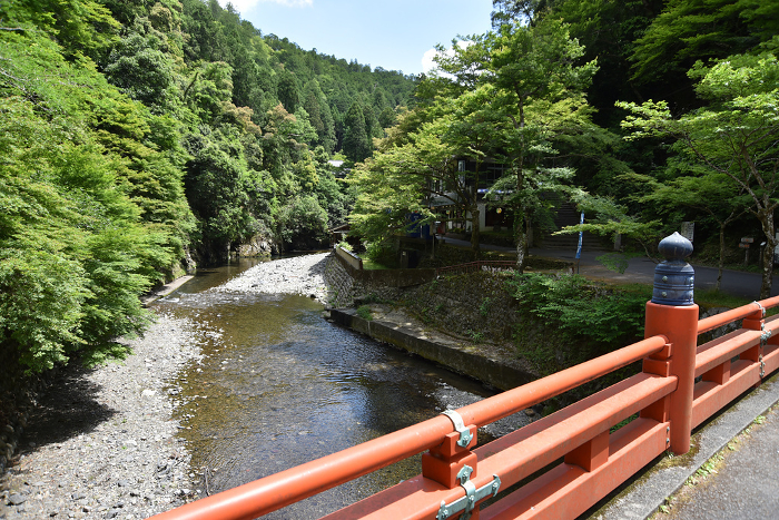 Jingo-ji Temple in fresh green View of Kiyotaki River from Takao Bridge Takao, Ukyo-ku, Kyoto