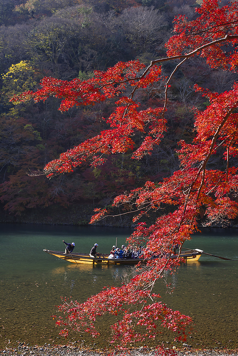 Autumn Foliage in Arashiyama Kyoto City