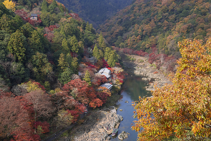 Autumn Foliage in Arashiyama Kyoto City View from the observatory at the top of Turtle Island Park 