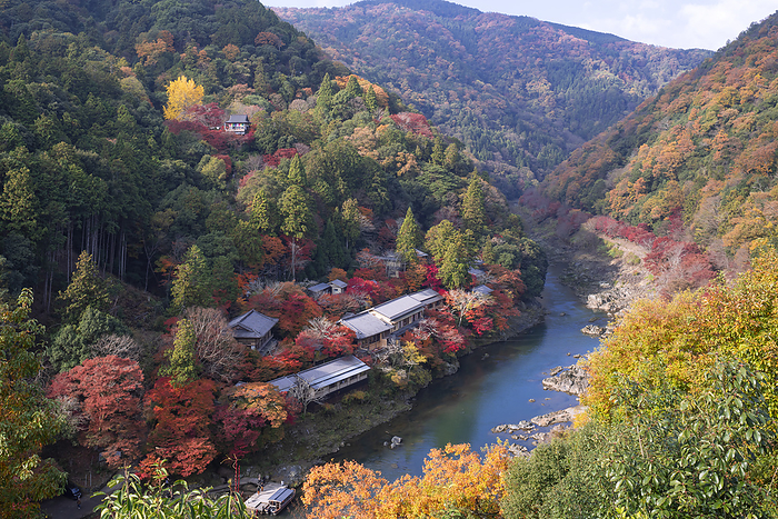 Autumn Foliage in Arashiyama Kyoto City View from the observatory at the top of Turtle Island Park 