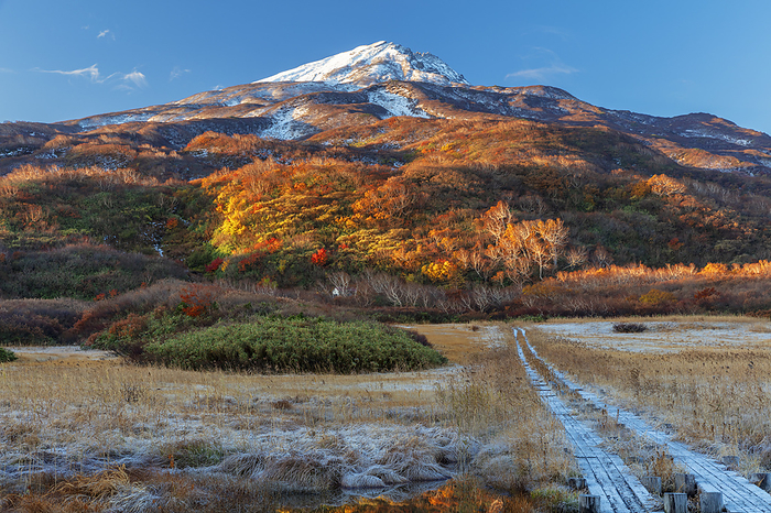 Akita Prefecture Morning view of Mt. Chokaisan from Ryugahara marshland in autumn leaves