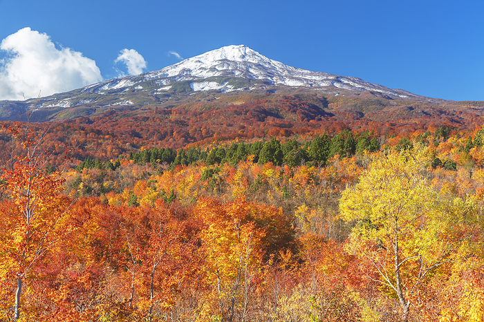 Akita Prefecture Autumn Leaves and Mt.