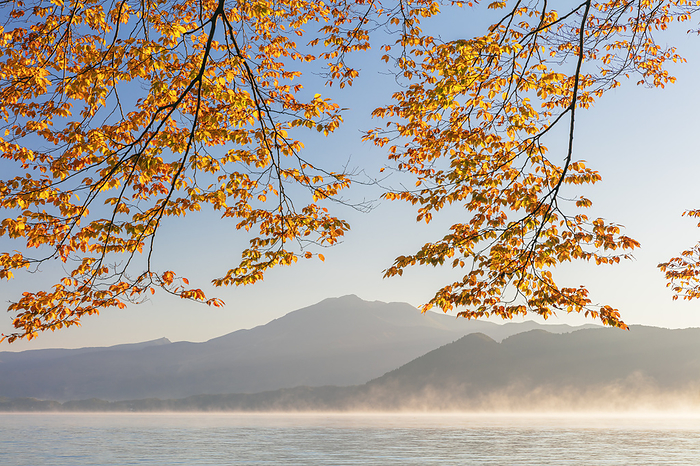 Akita Prefecture Autumn Leaves of Lake Tazawako, Morning View of Lake Tazawa and Mount Akita Komagatake