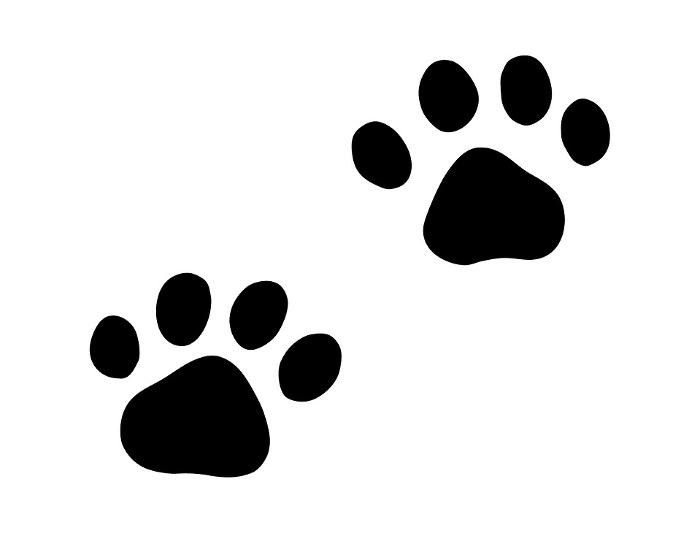 Simple Clip art of cat's paw prints