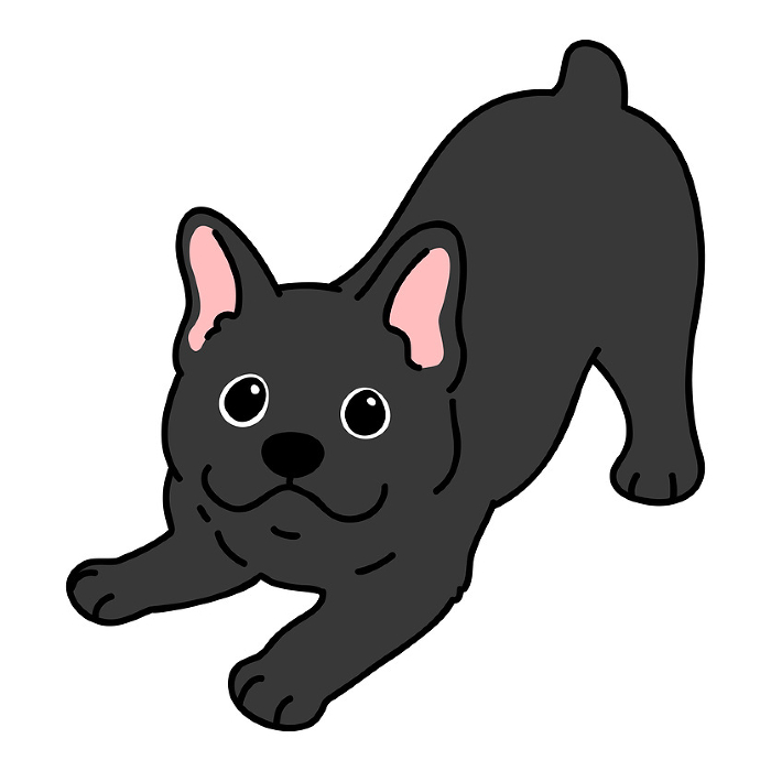 Illustration of a simple and cute black French bulldog inviting you to play, with main line.