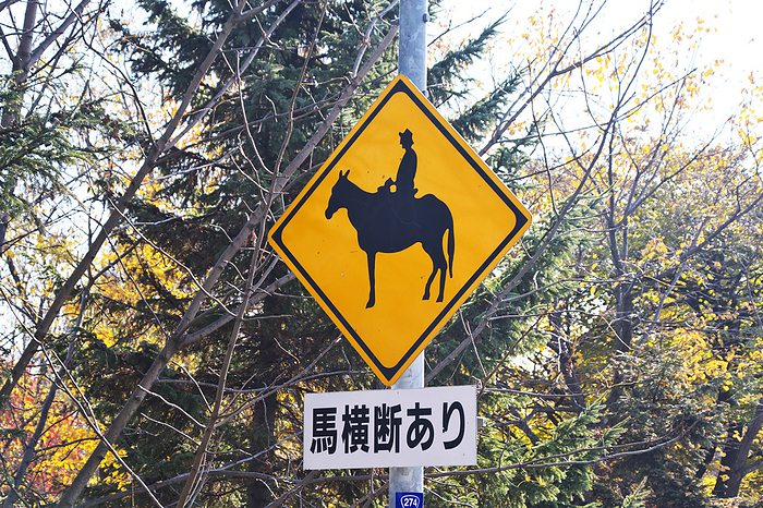 Warning sign, horse crossing, Hokkaido, Japan