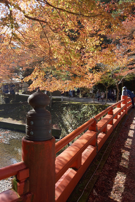Jingo-ji Temple in autumn, Takao Bridge on Kiyotaki River, Takao, Ukyo-ku, Kyoto