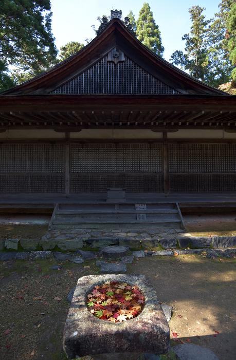 Jingo-ji Temple Daishido and Tezuibachi in Autumn Takao, Ukyo-ku, Kyoto