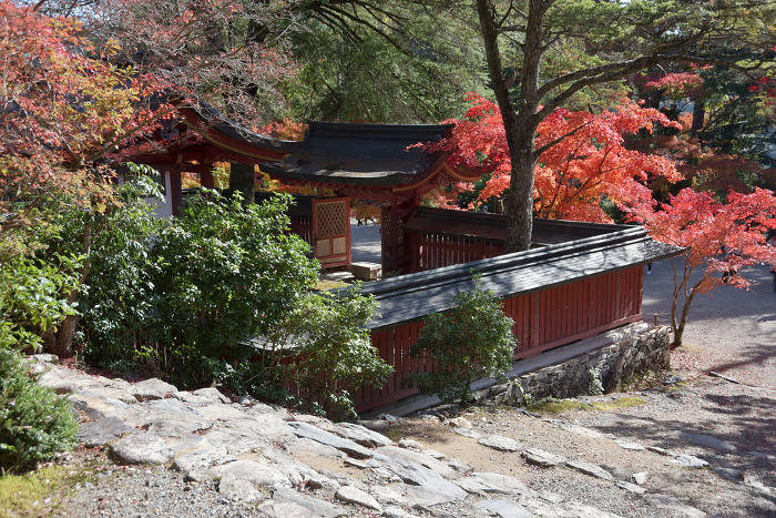 Jingo-ji Temple in Autumn, Mausoleum of Wakeki Kiyomaro Takao, Ukyo-ku, Kyoto