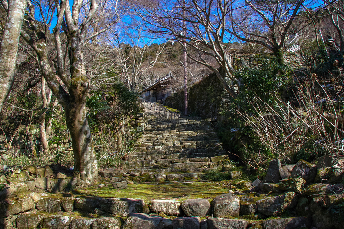 Approach to Kuwajinji Temple, Shiga, with stone steps leading up to the temple