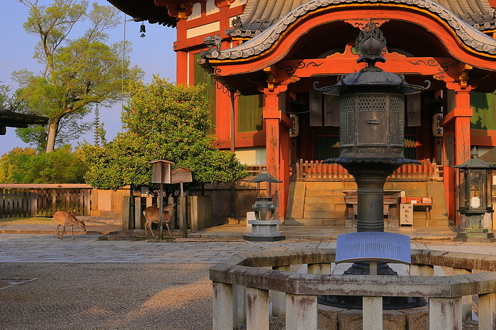Kofukuji Temple, Nara Prefecture: Nan'endo Hall and deer