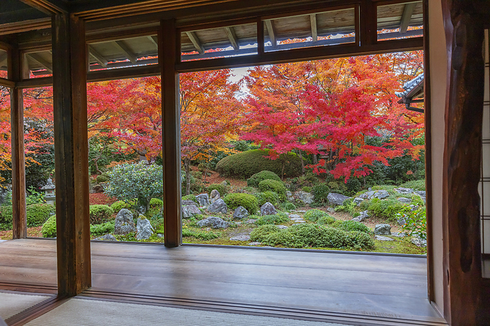 Genkoan in Autumn Leaves, Kyoto